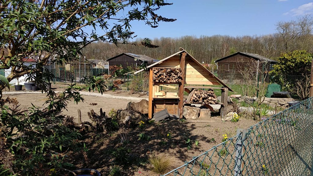 Naturgarten – Gartenrundgang am 17.08.2024 um 15 Uhr